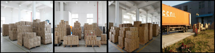 Swiss Dois pinos CA Power Plug (AL-330)